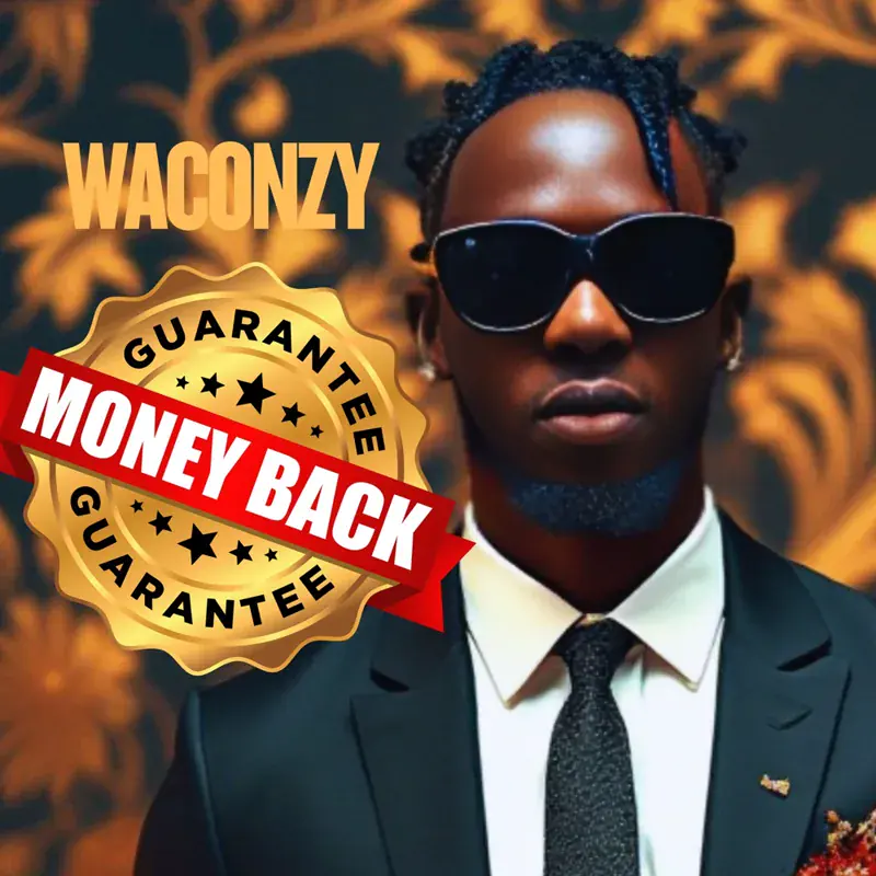 Money Back Guarantee by Waconzy album artwork